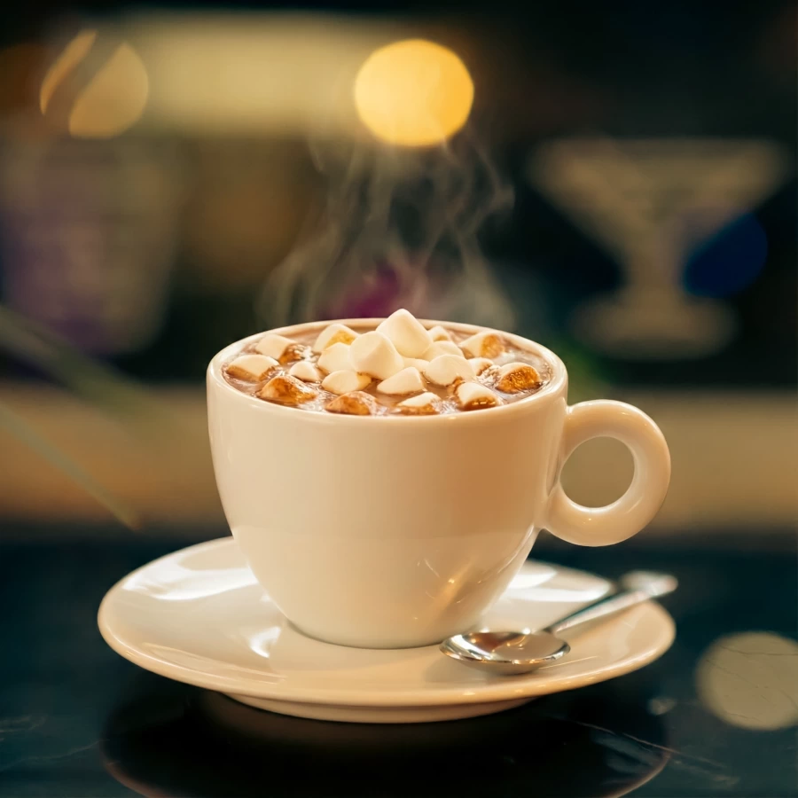 Hot Chocolate with Marshmallows